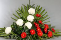 44307039_1412741005523845_7560576401691115520_n 44307039_1412741005523845_7560576401691115520_n