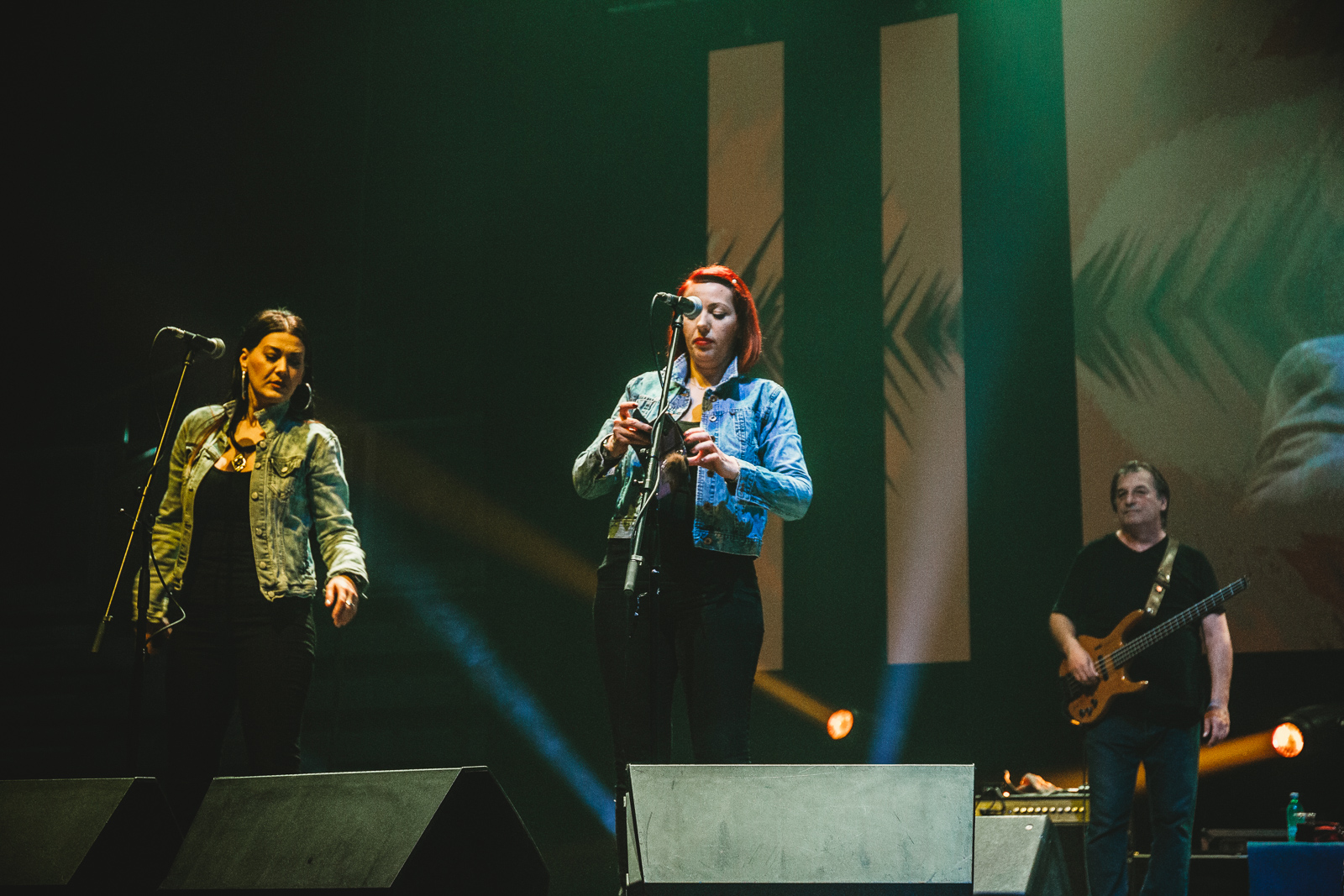 Halid Bešlić u Areni Varaždin