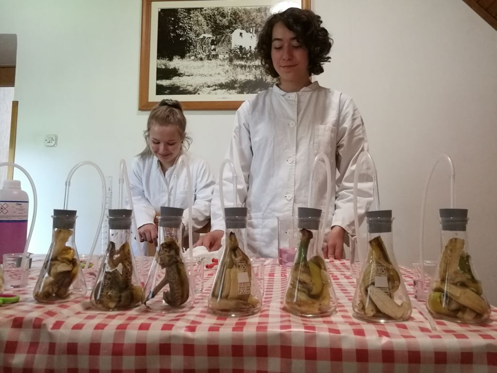 img20180531154654915426