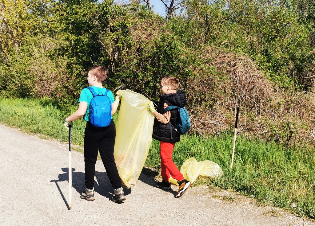 Image 5666867 (auto)