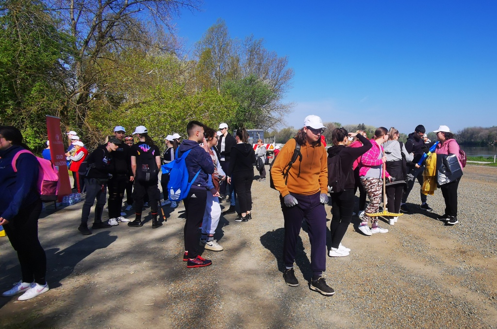 Image 5666847 (auto)