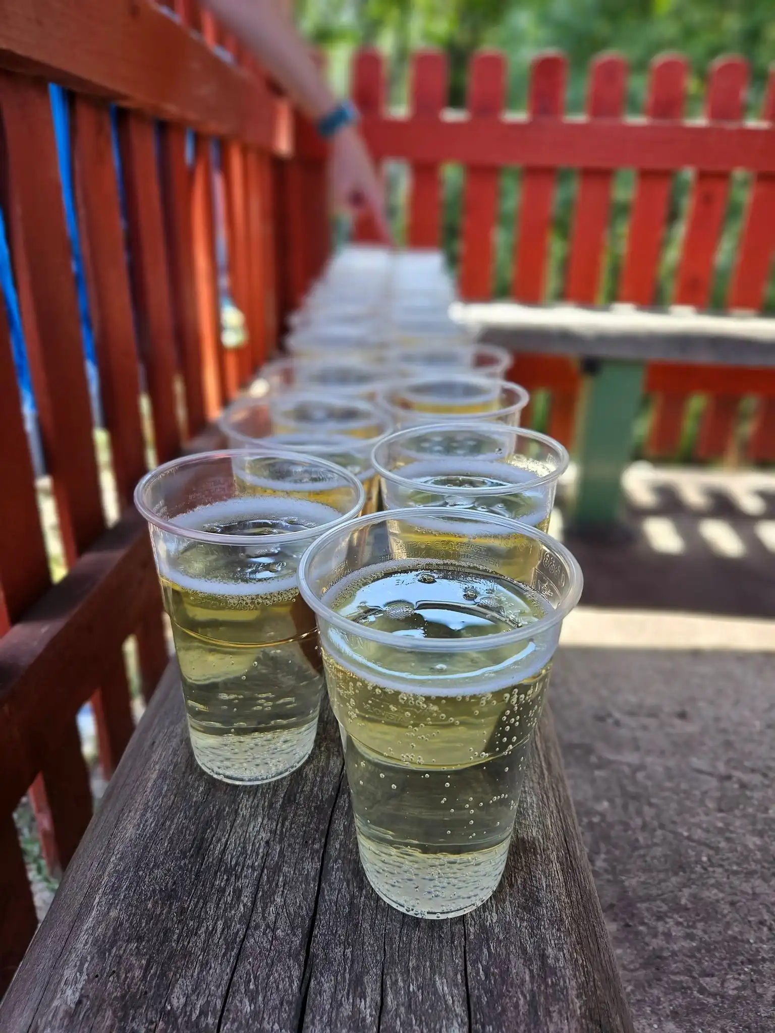 455790997_1003818268208616_3001218930468437434_n 455790997_1003818268208616_3001218930468437434_n