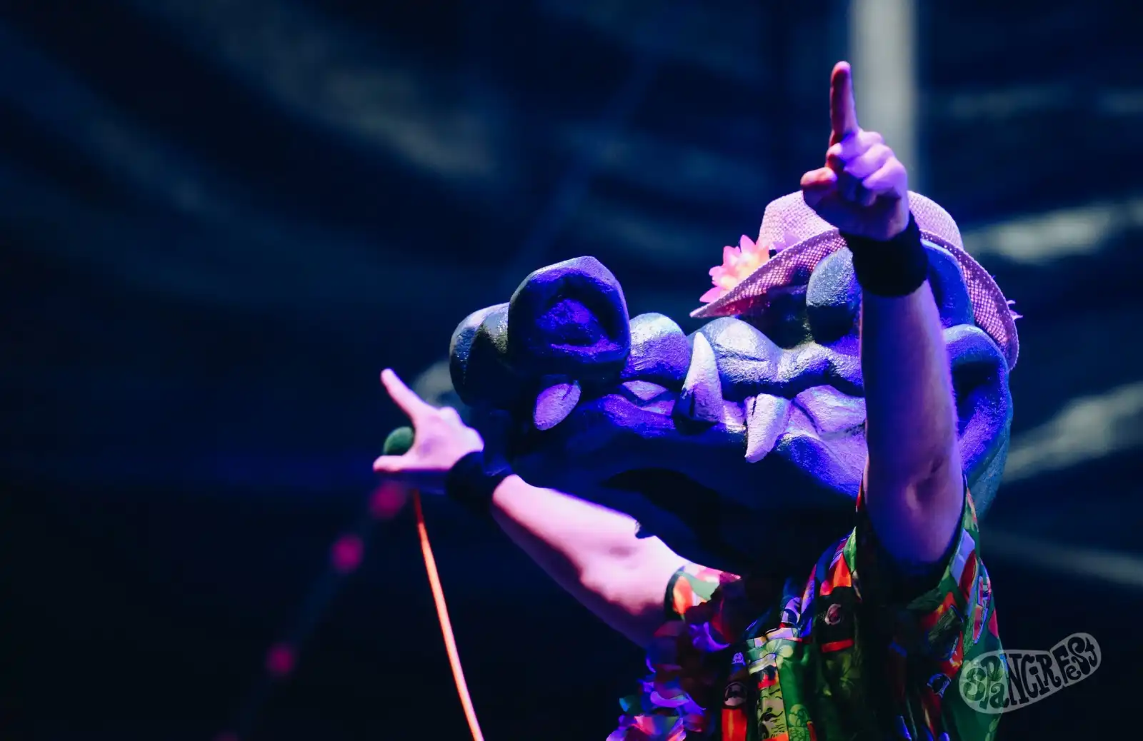 456907787_1056614186032298_3442023633032481322_n