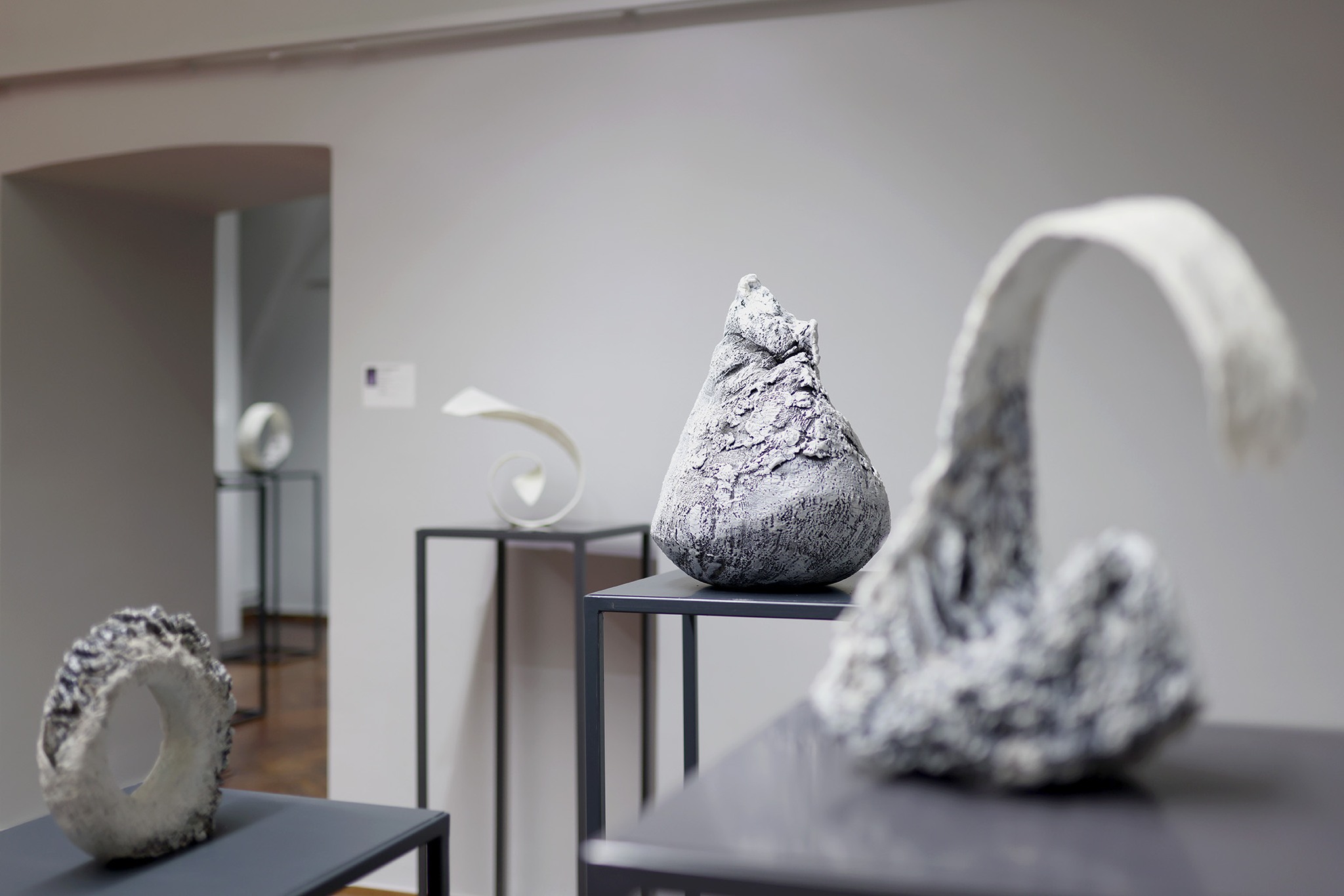 Image 5530626 (auto)