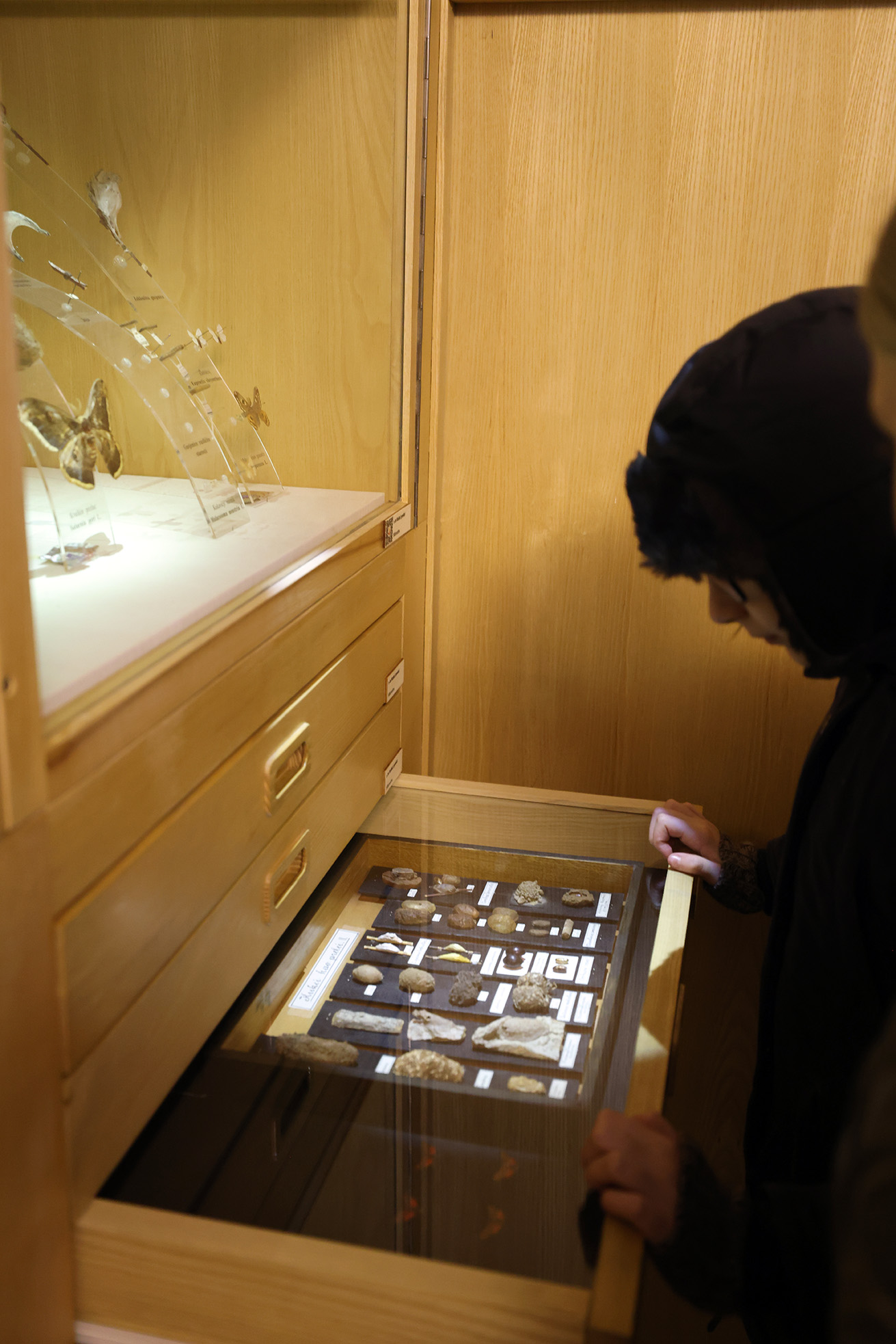 Image 5593217 (auto)