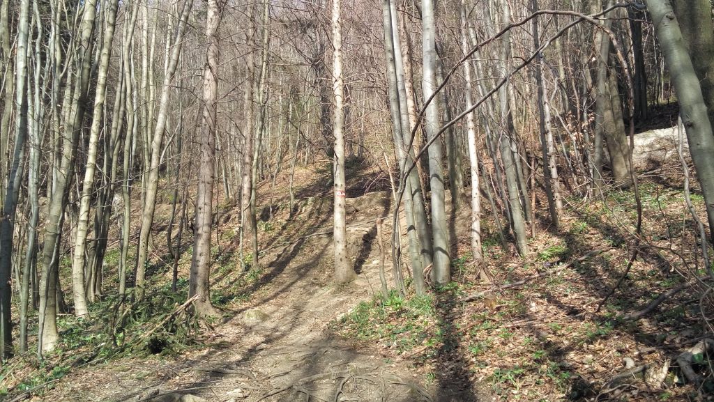 20150411091231979255