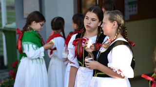 Image 5419060 (auto)