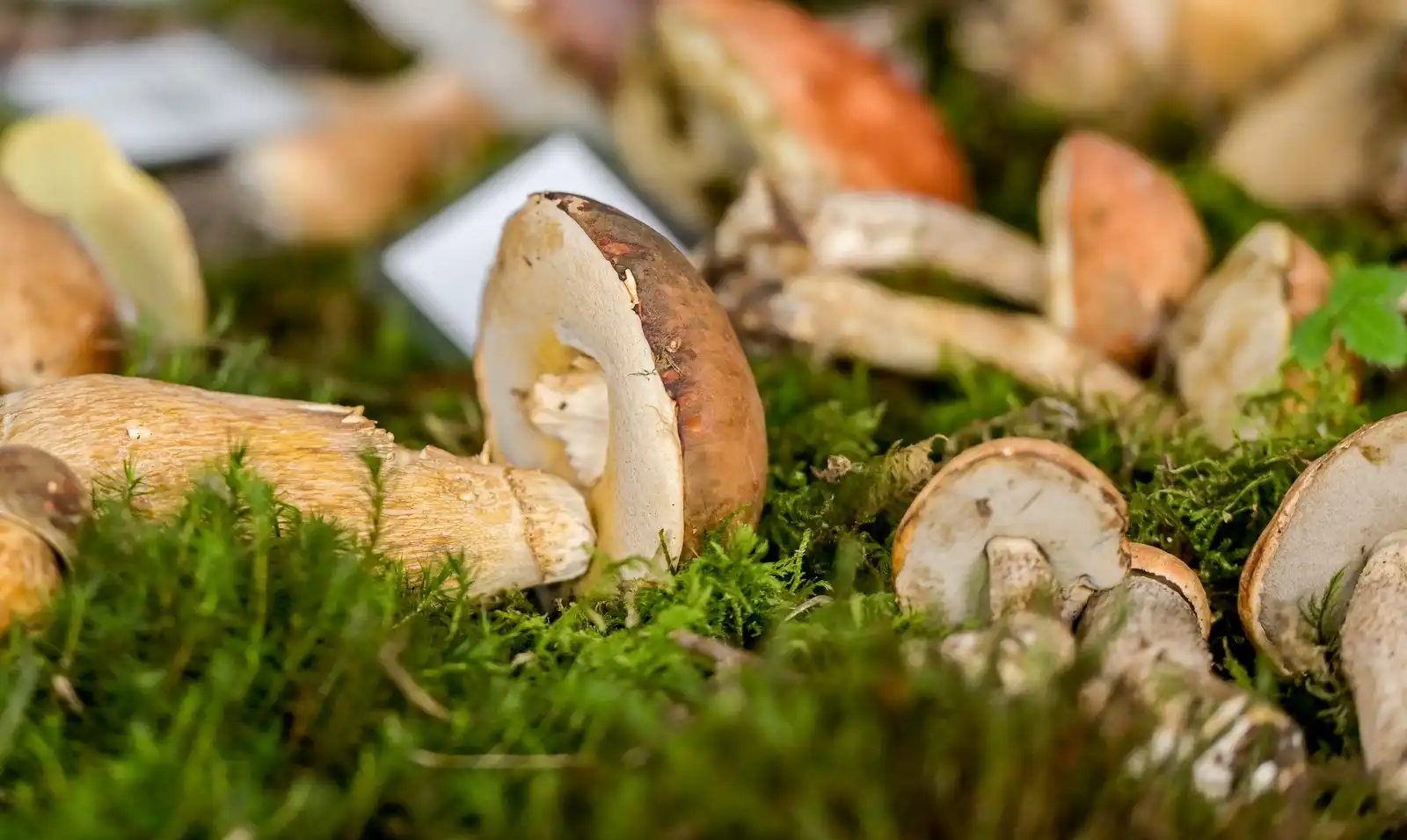 462002872_935442241946605_3941164789746780926_n