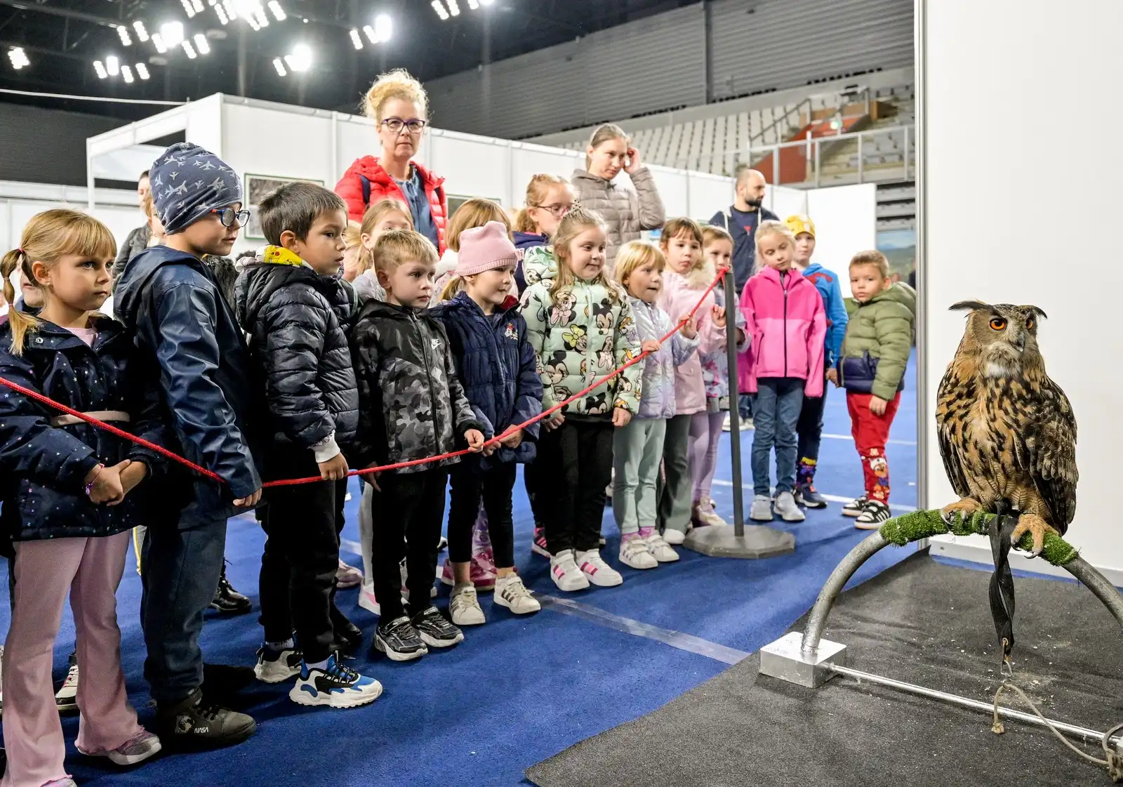 462121020_935441425280020_8175037734041260100_n