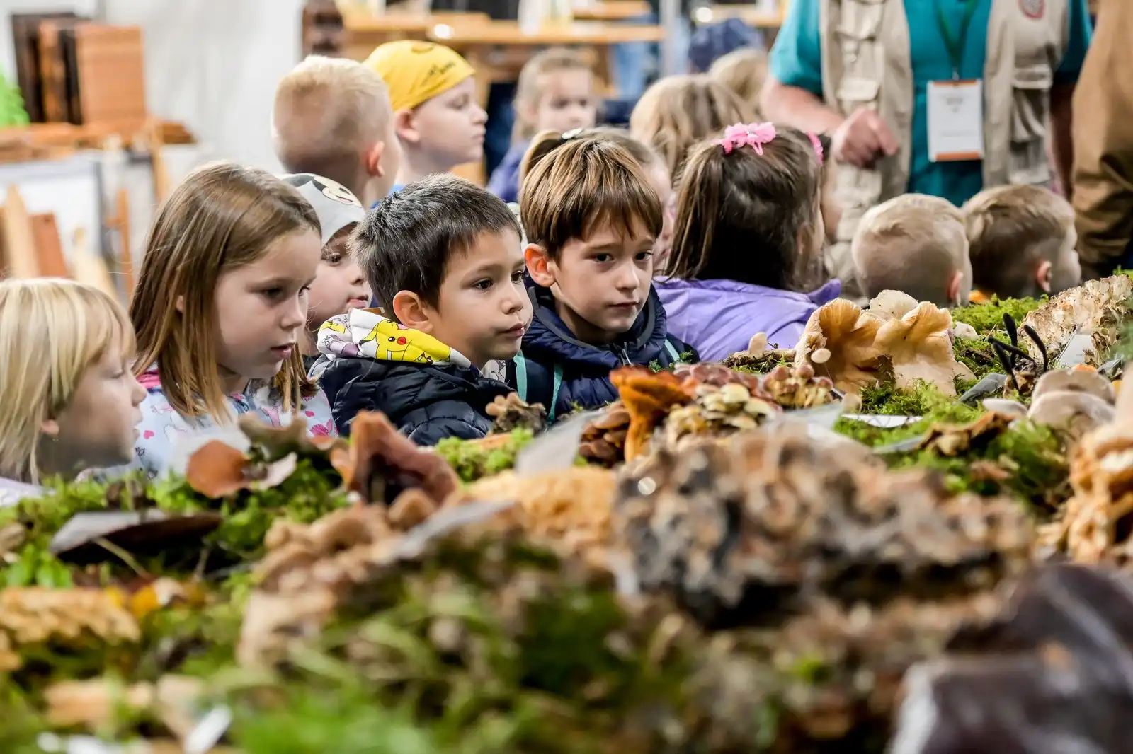 462160473_935441621946667_5321163662273334475_n