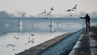 Drava, dravska špica, zima 21.1.2020.