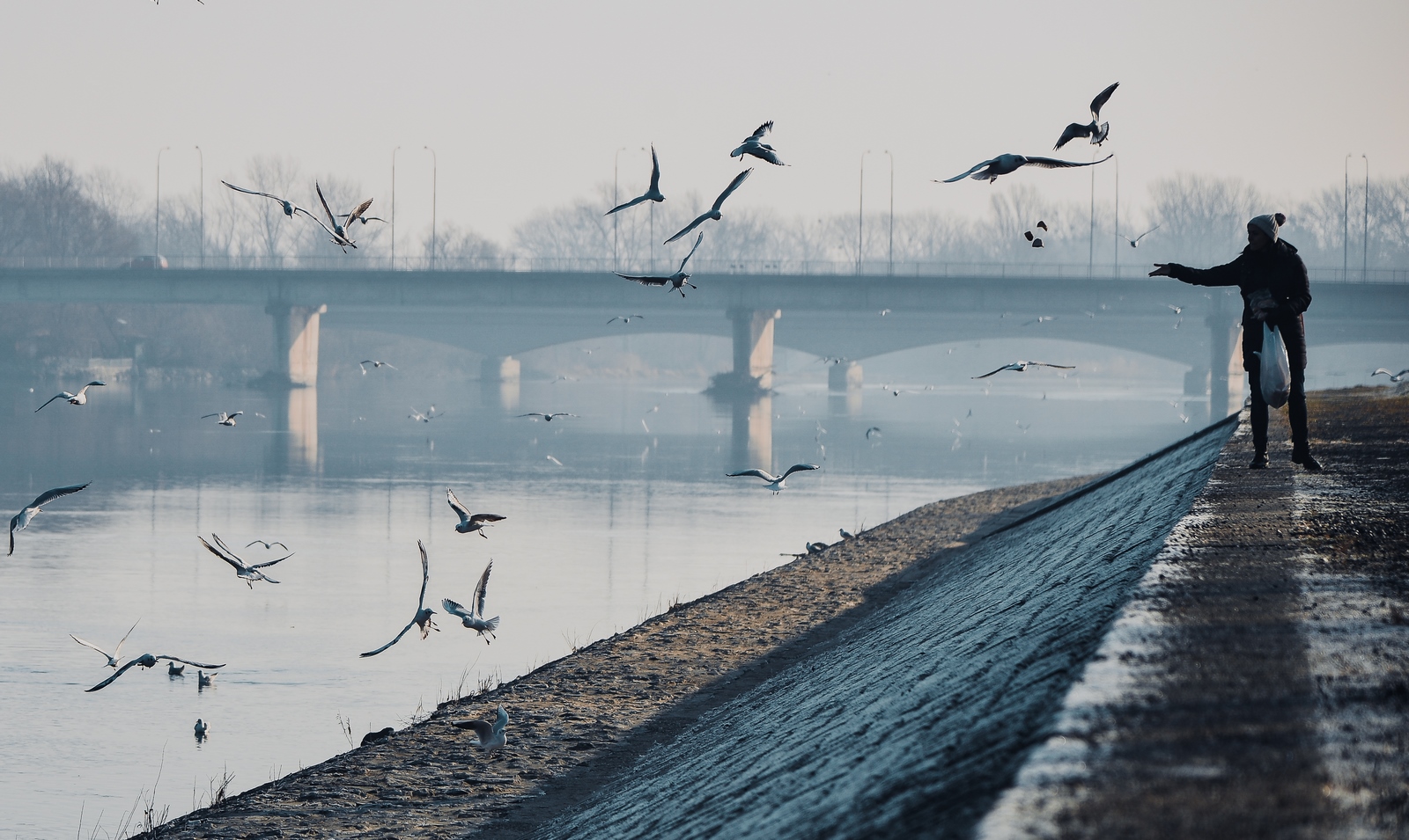 Drava, dravska špica, zima 21.1.2020.