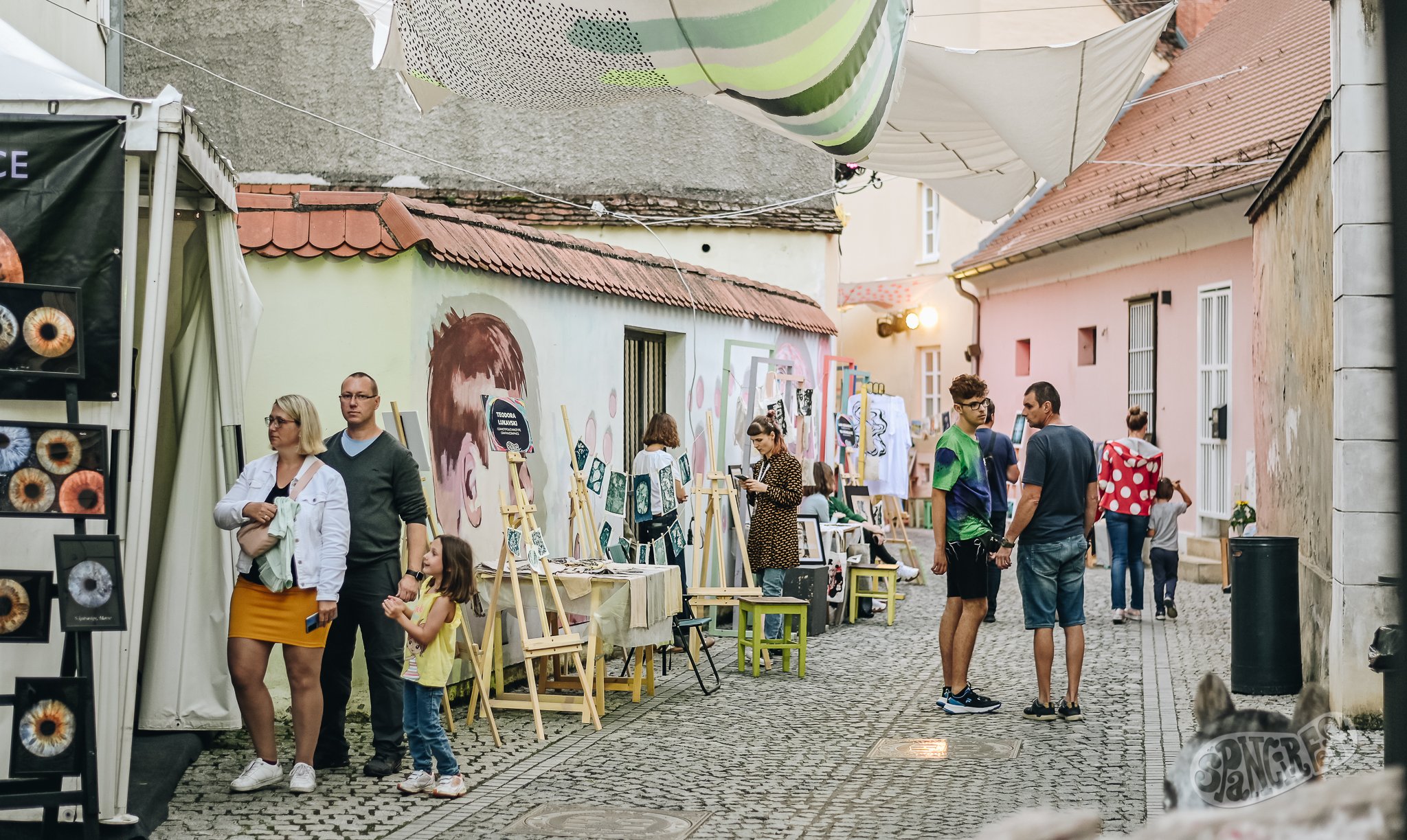 Image 5453750 (auto)