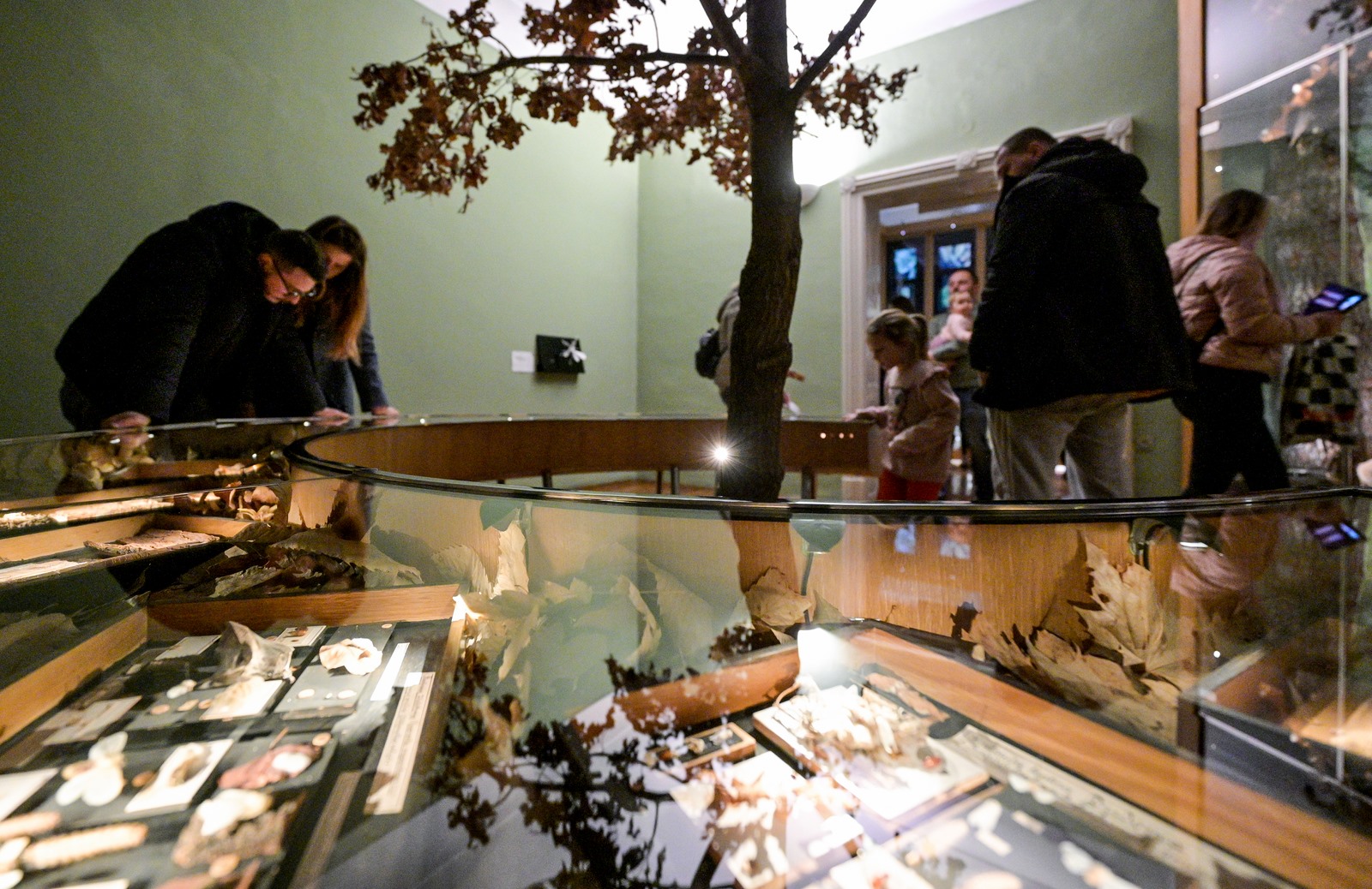 475373429_1165392015594454_7268086992460917297_n