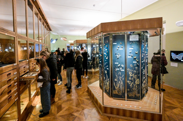 475517520_1165391158927873_3692877118034243812_n 475517520_1165391158927873_3692877118034243812_n