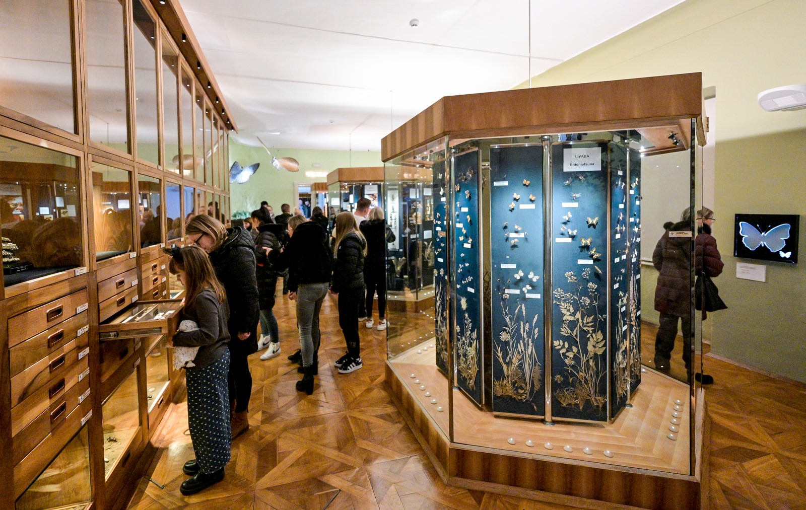 475517520_1165391158927873_3692877118034243812_n