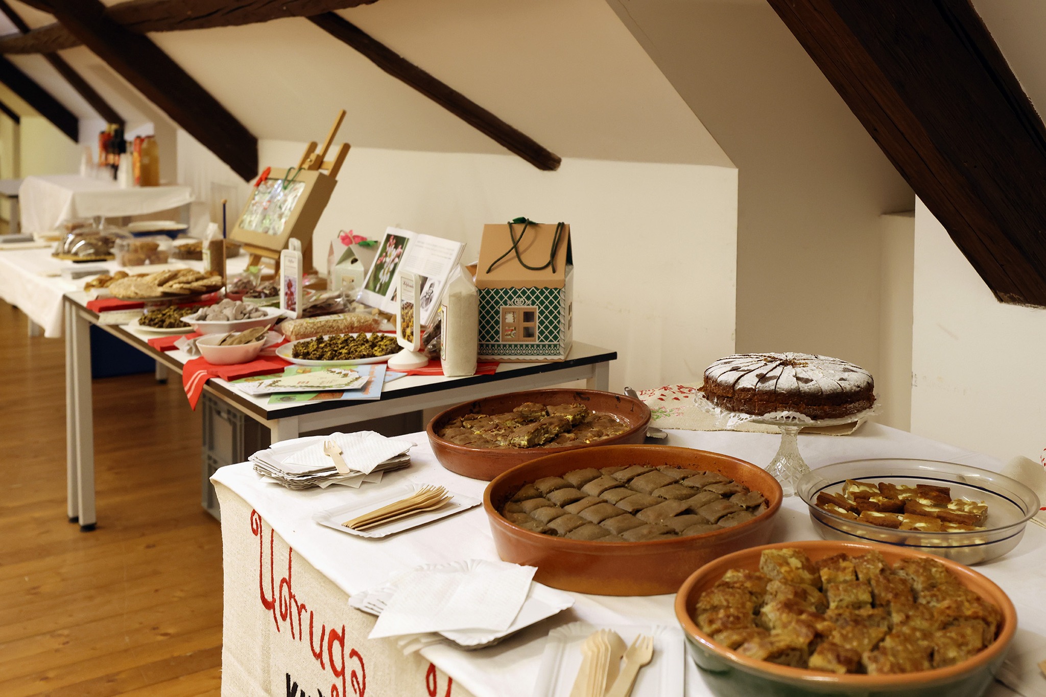 475985671_1169630501837272_5542532908366681806_n