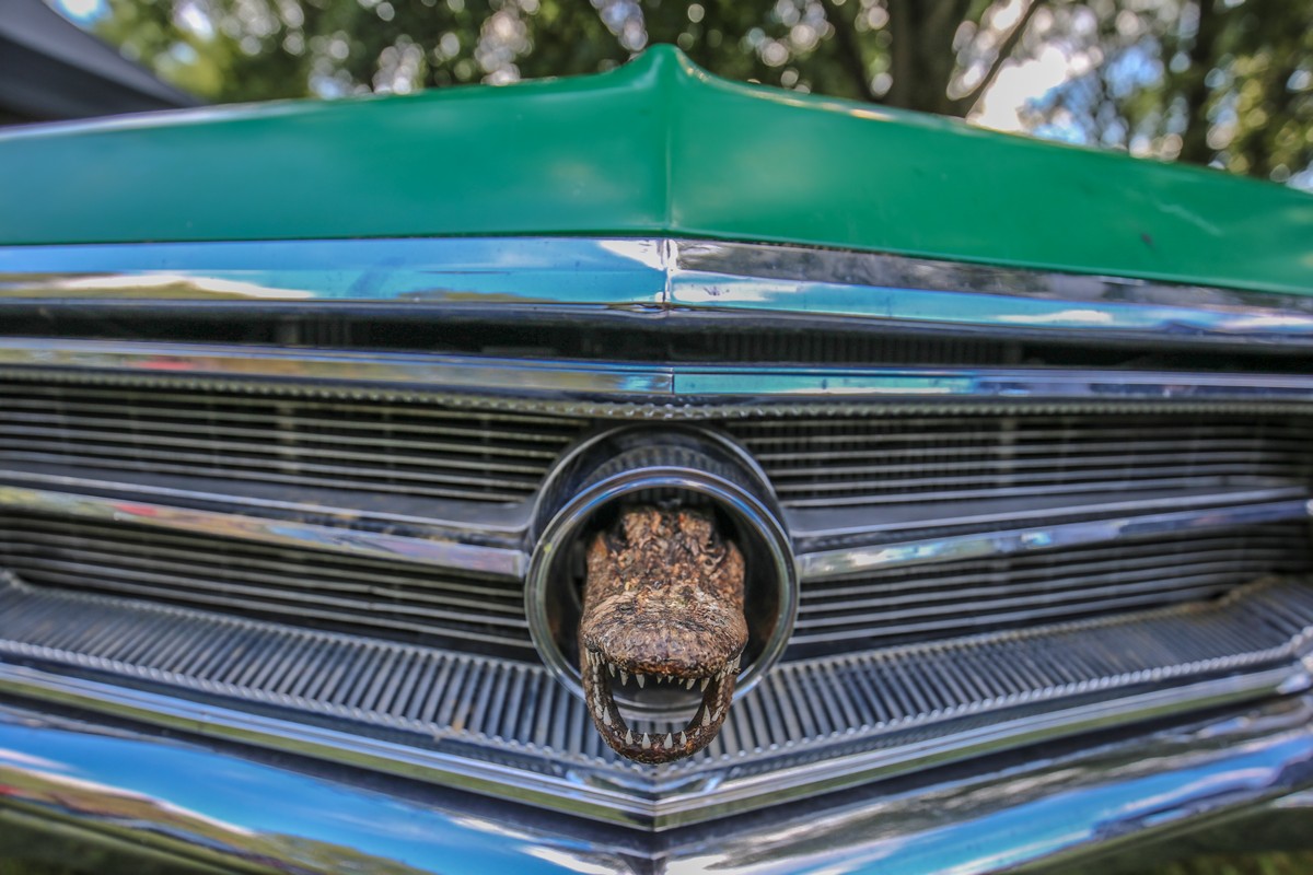 Trash & Burn u Svetom Martinu na Muri (subota, 23.6.2018.) Trash & Burn u Svetom Martinu na Muri (subota, 23.6.2018.)