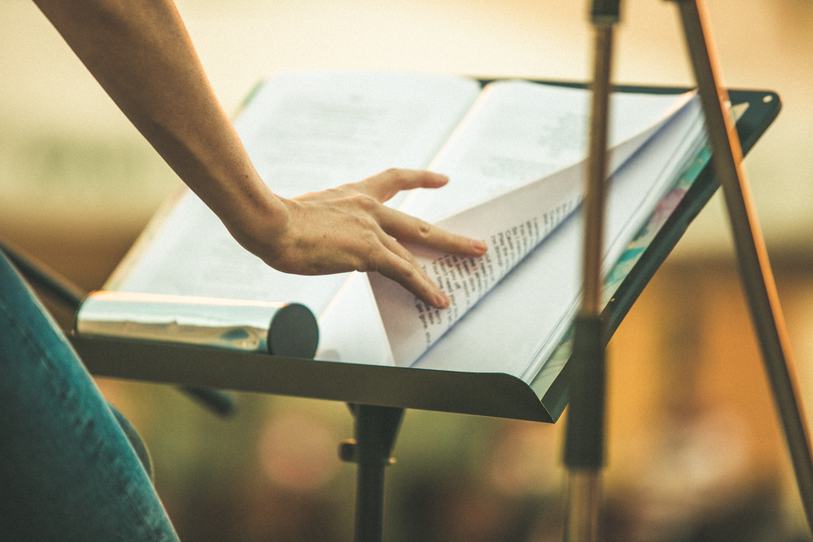 The Royals, Ljeto u Varaždinu The Royals, Ljeto u Varaždinu