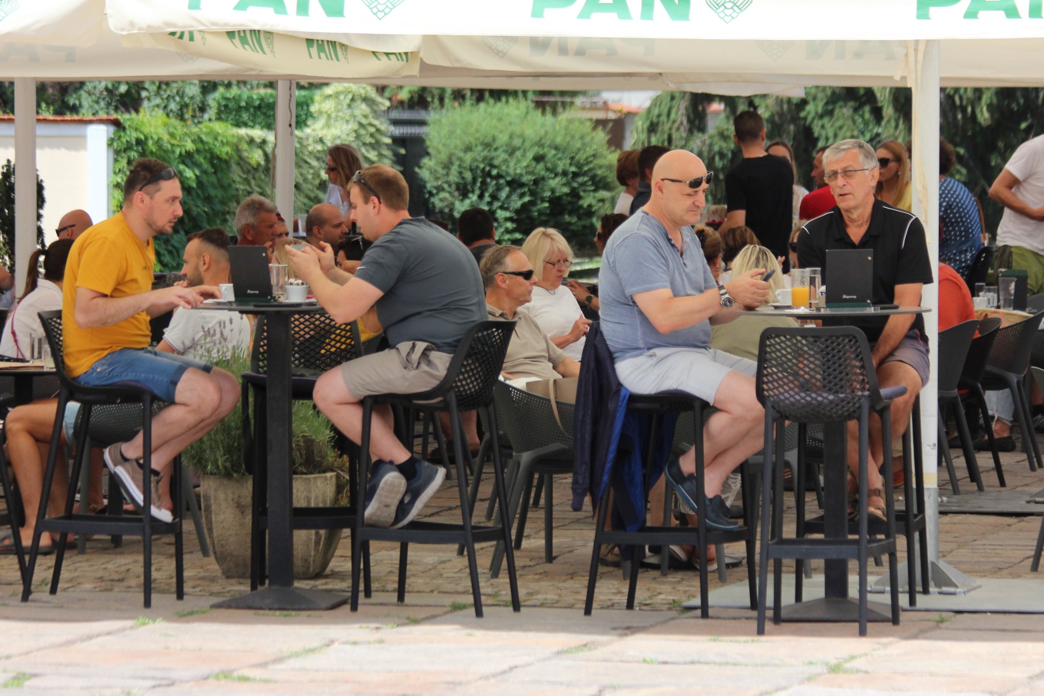 Image 5412654 (auto)