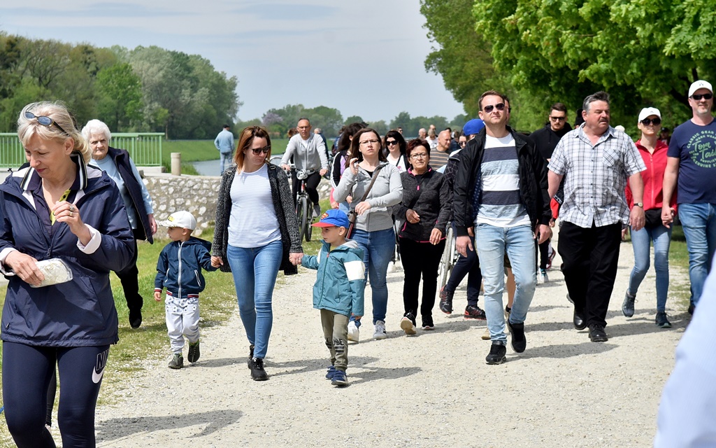 Image 5678257 (auto)