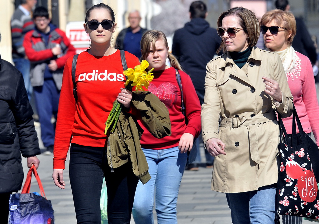 Dan narcisa Dan narcisa