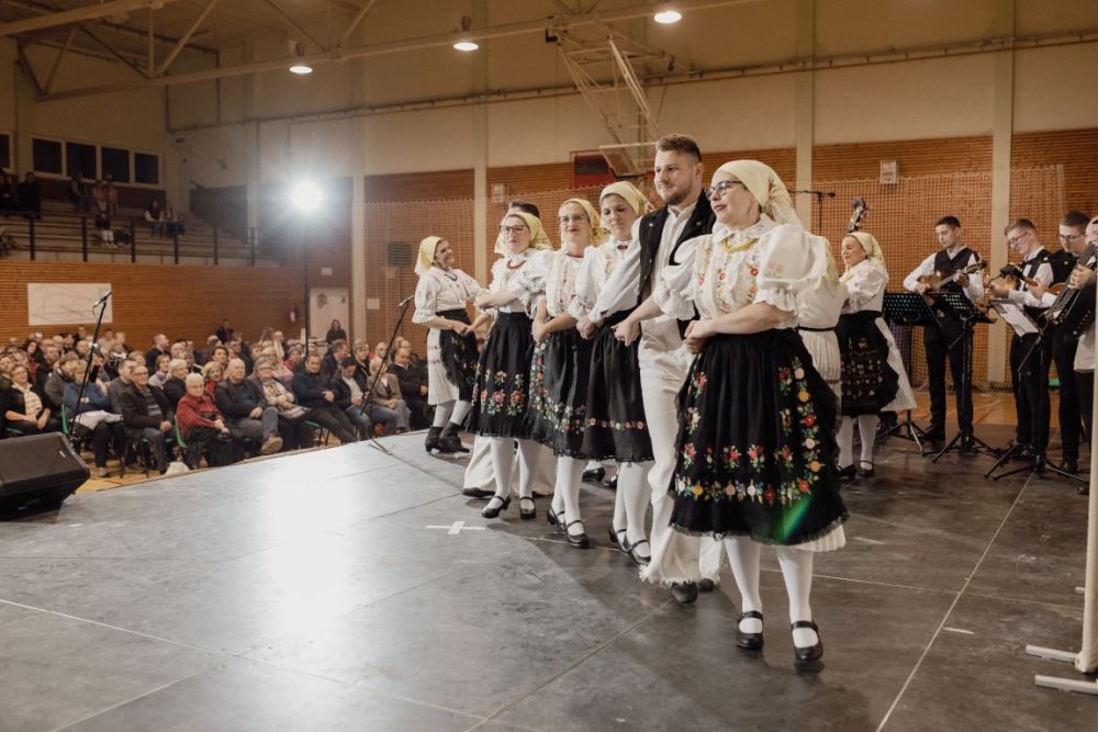 Image 5911827 (auto)