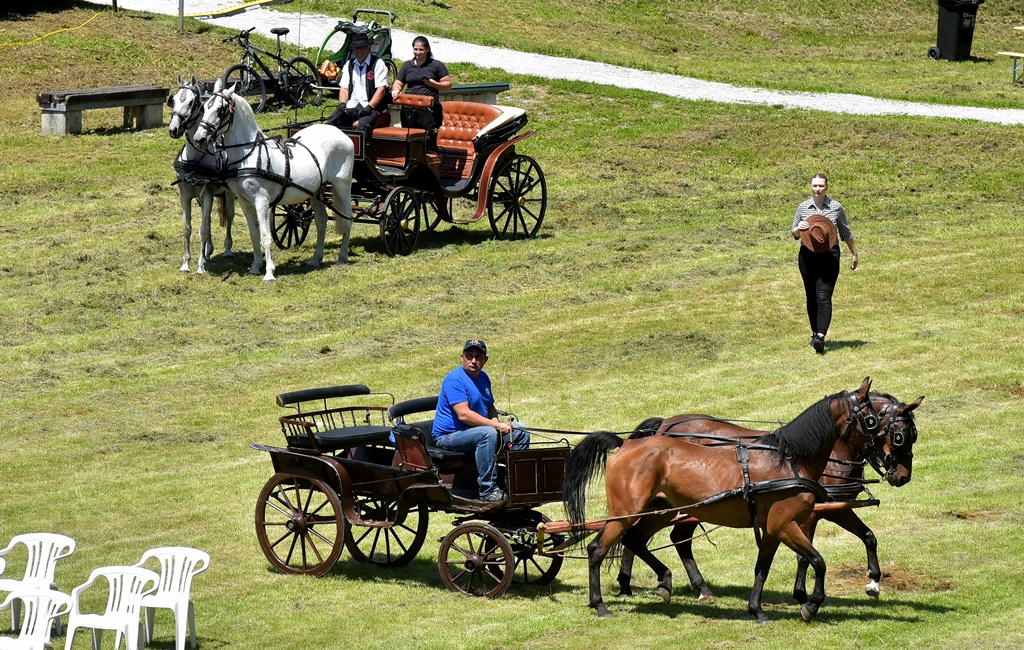 Image 5377176 (auto)