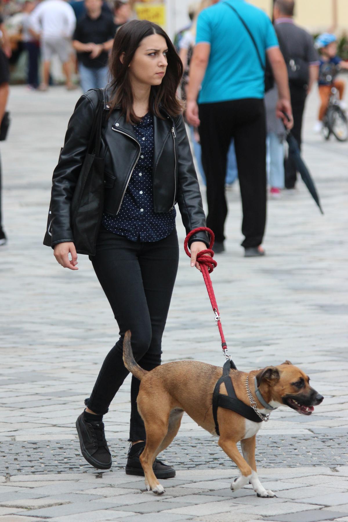 Image 5453674 (auto)