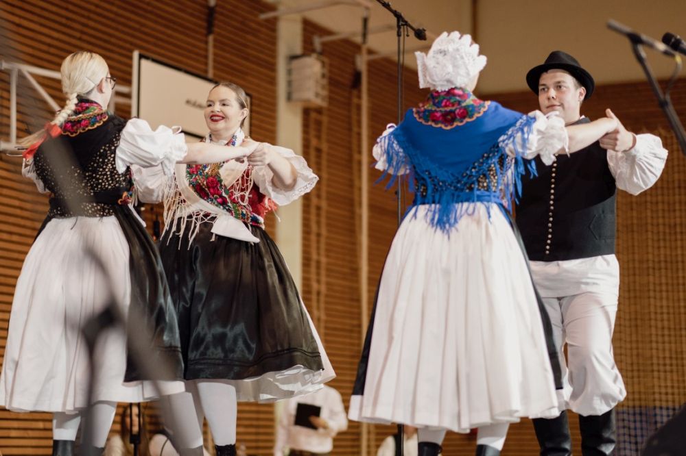 Image 5911775 (auto)