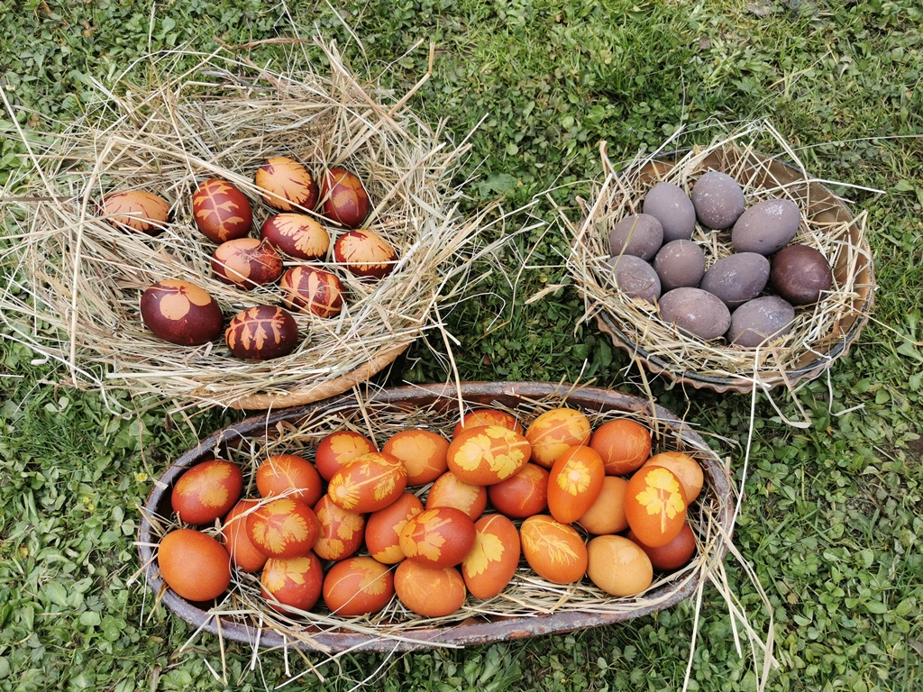 Image 6004439 (auto)