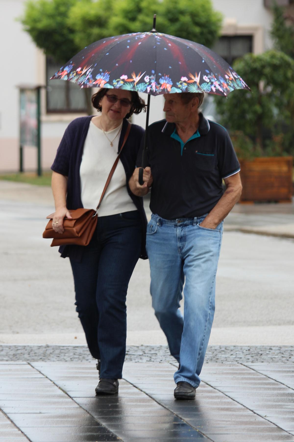 Image 5445756 (auto)