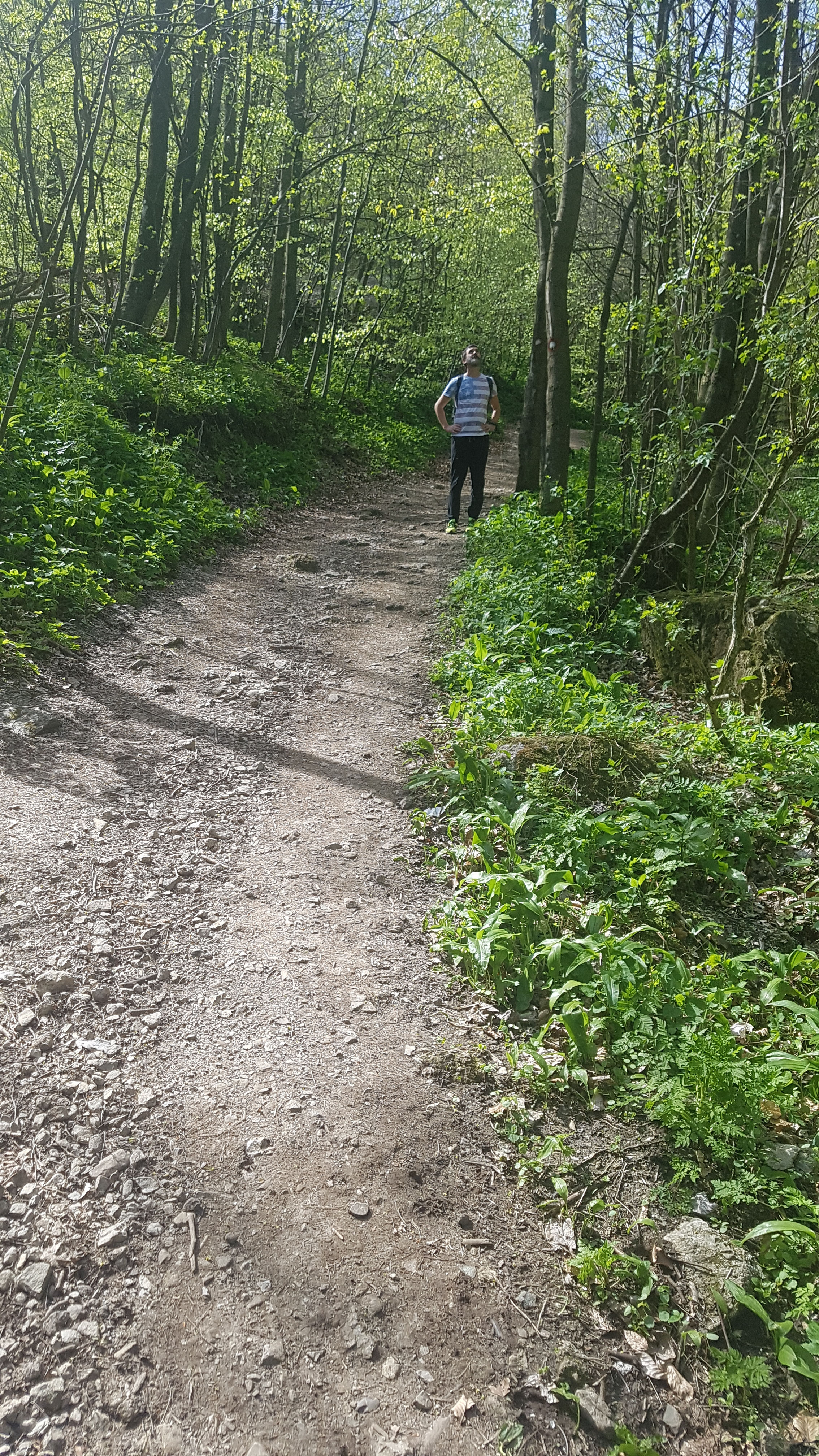 Varazdinski.hr slavi 4 rodjendan Ivanscica