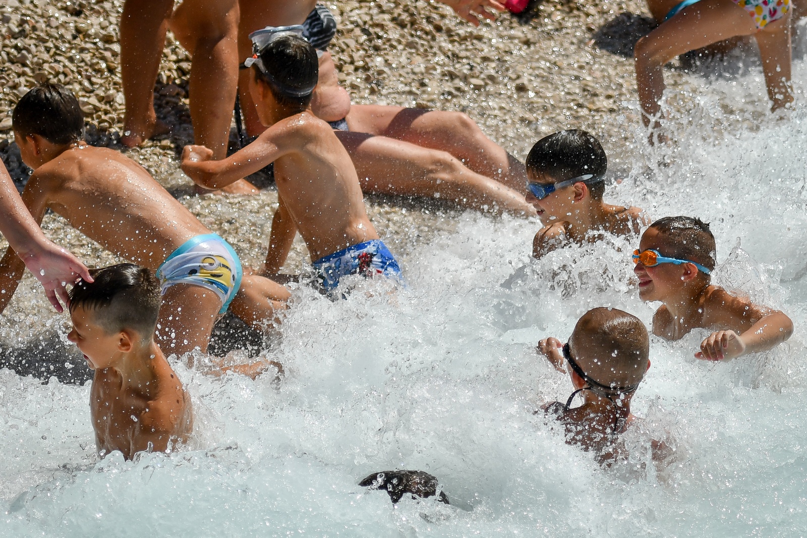 Zajednica sportskih udruga Grada Varaždina