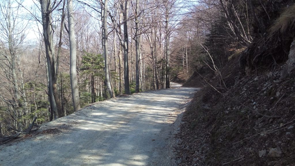 20150411111858660435