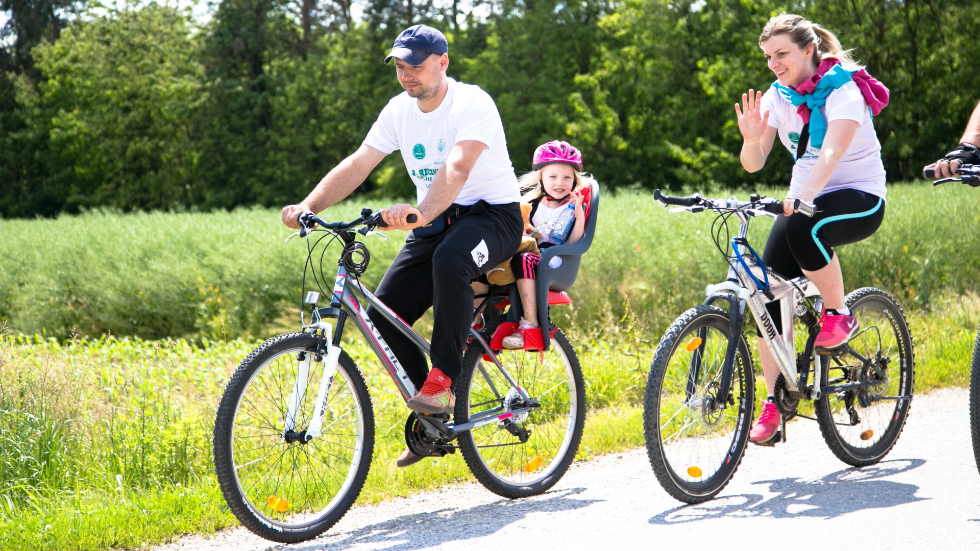 Image 3652565 (auto) Image 3652565 (auto)