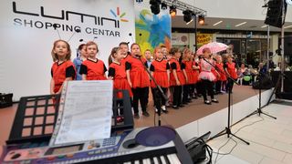 luminirodendan10174062