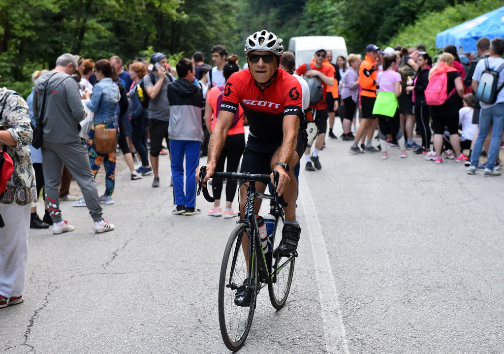 Image 4542398 (auto)