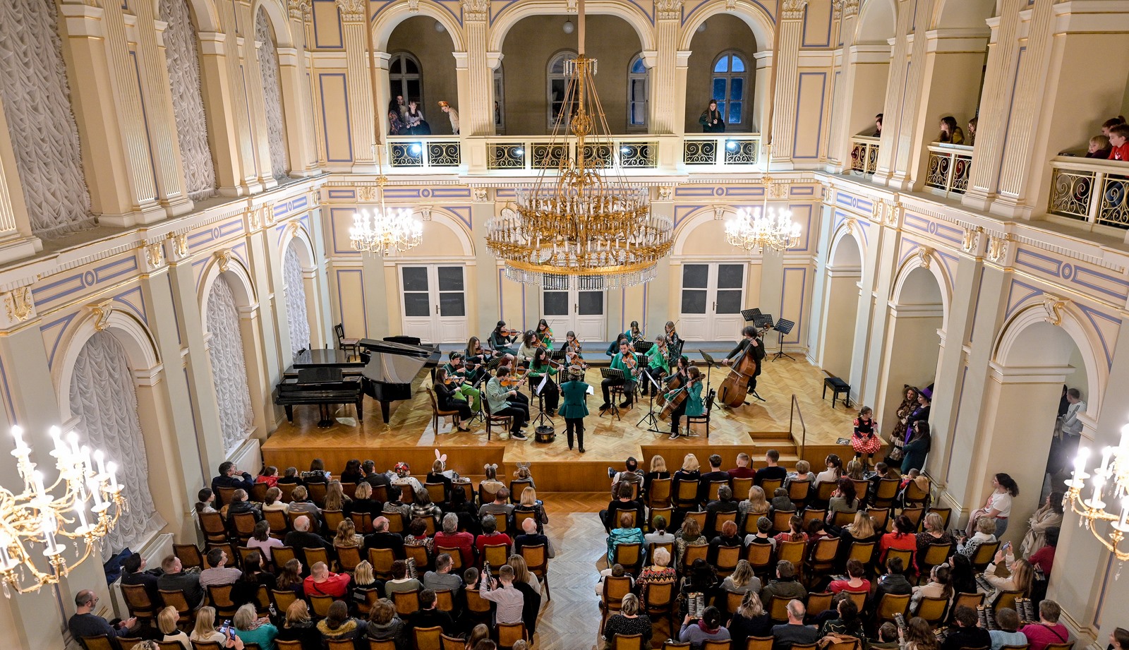 Image 5609923 (auto)