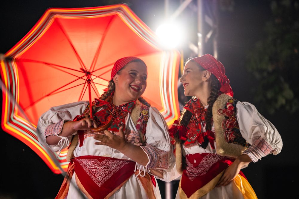 Image 5834289 (auto)