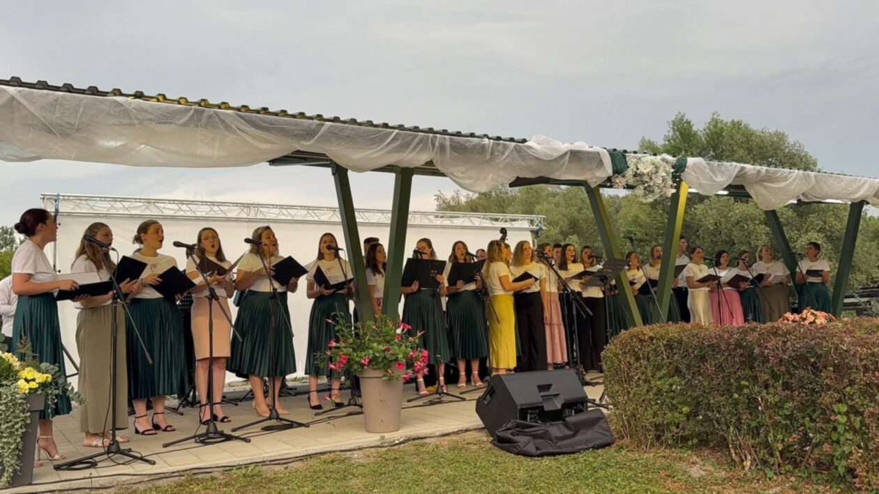 4e009287-c3c8-4525-9d7e-1c3b29baf133 4e009287-c3c8-4525-9d7e-1c3b29baf133