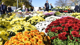 Gradska tržnica Varaždin Gradska tržnica Varaždin