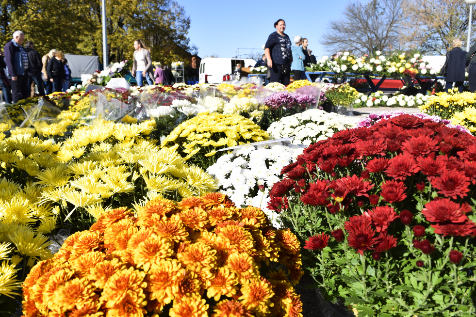 Gradska tržnica Varaždin Gradska tržnica Varaždin