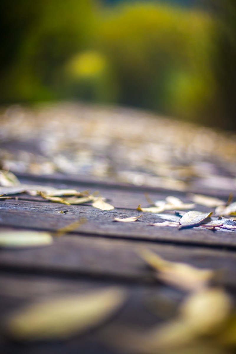 Jesen u Trakošćanu