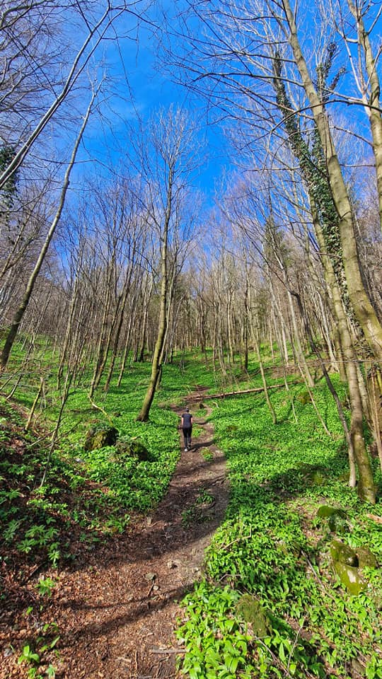 Image 5647567 (auto)