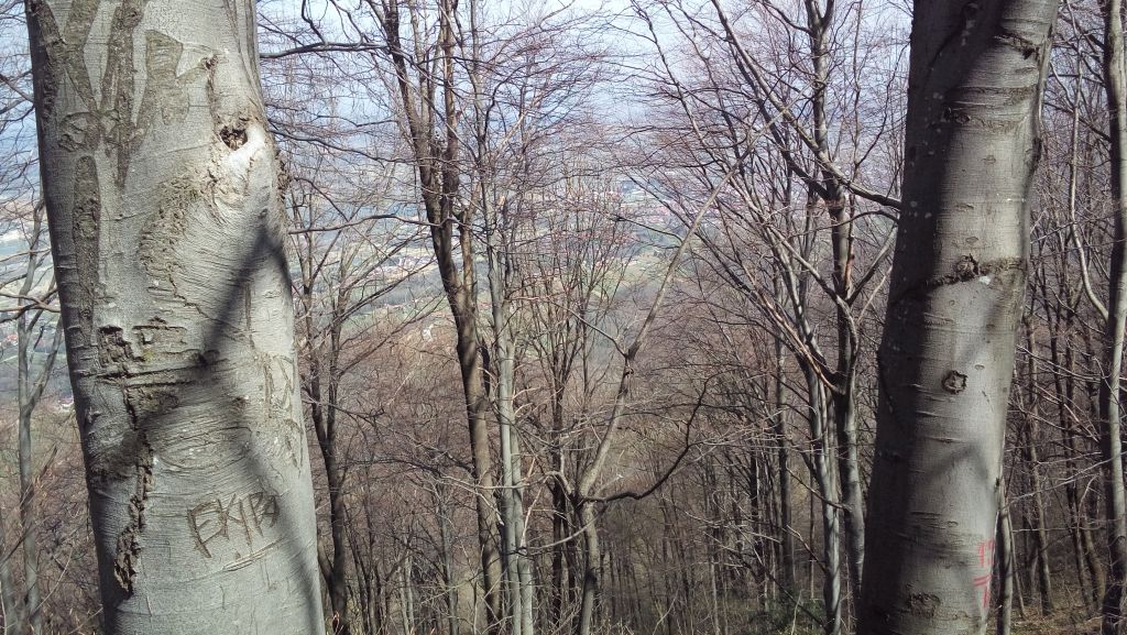 20150411114639315537