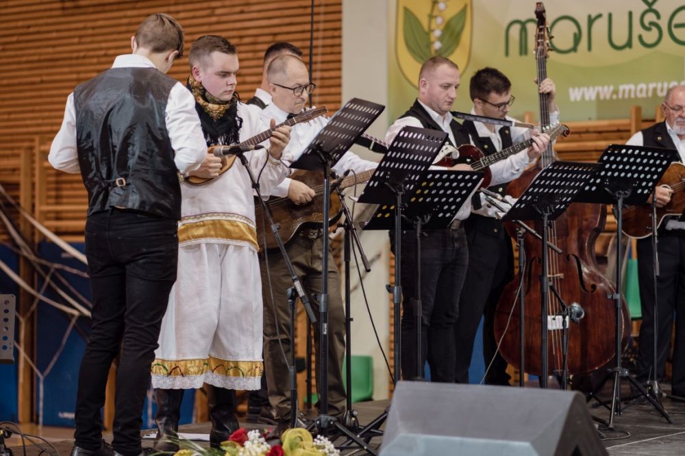 Image 5911837 (auto)