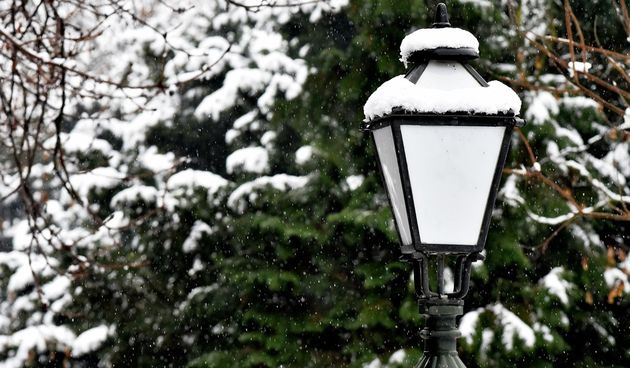 snijeg, zima 8.1.2021.