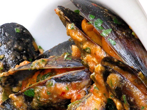 dagnjenabuzaru919401