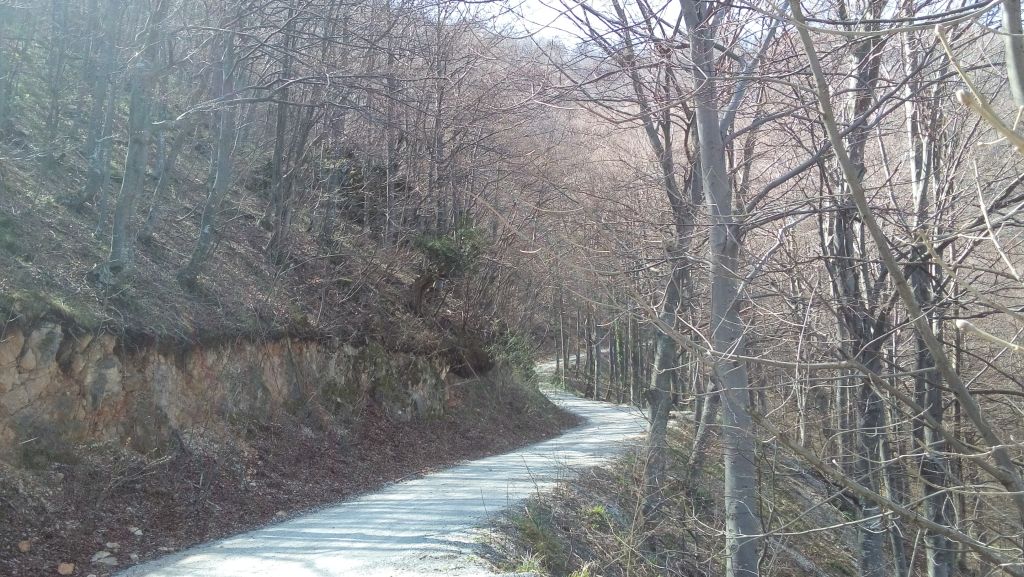 20150411115515787669